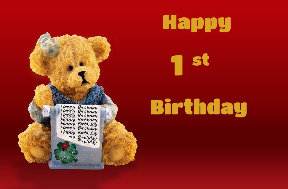 bears birthday cards