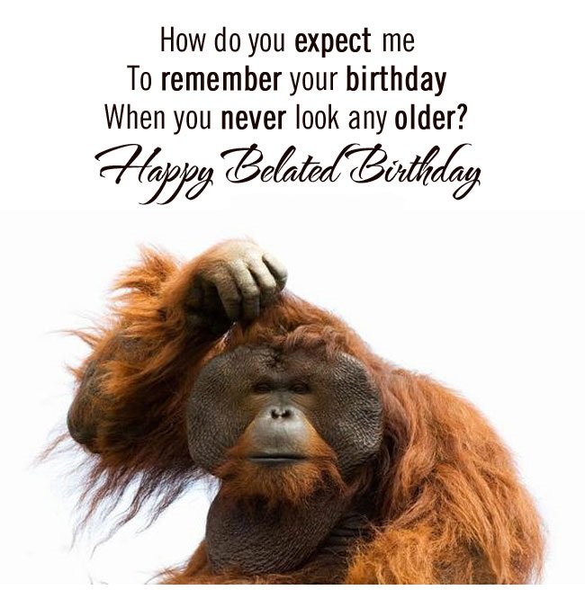 belated-birthday ecards