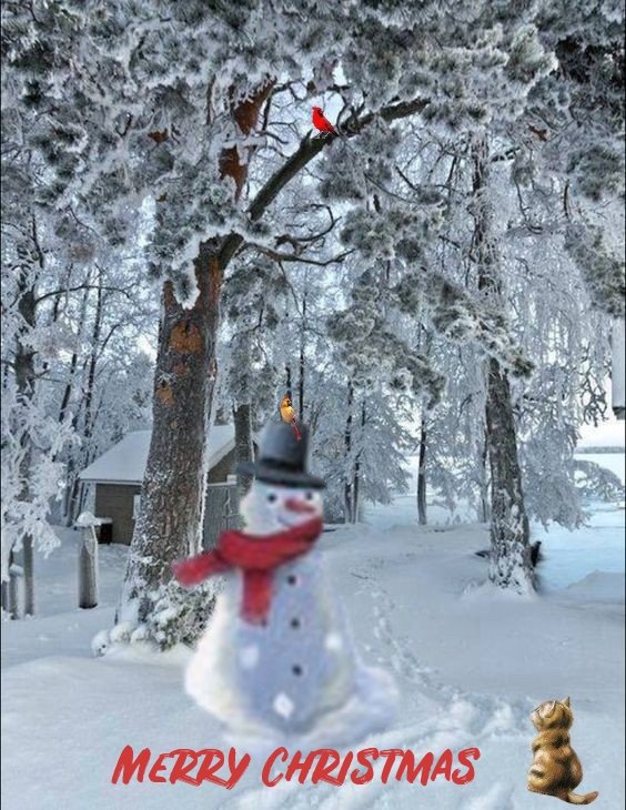 christmas snowman ecards