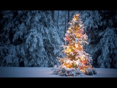 christmas tree ecards