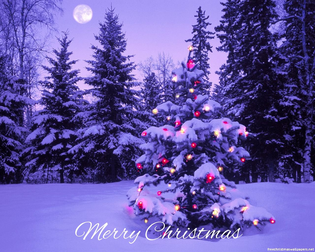 christmas tree ecards