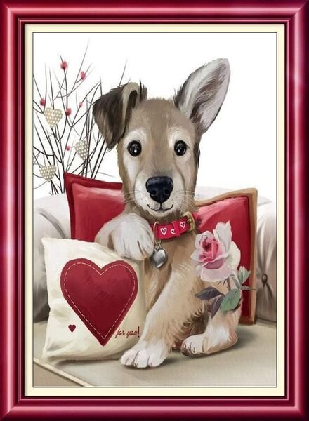 cats dogs bears bunnies