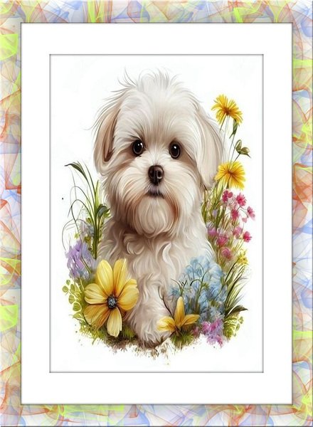 cats dogs bears bunnies