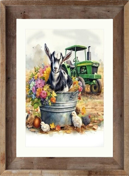 goat cats dogs bunnies bears more