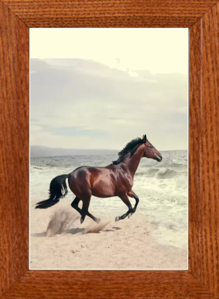 horse,cats dogs bunnies bears rooster