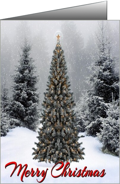 christmas snowy days