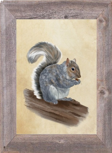 horse,cats dogs bunnies bears rooster